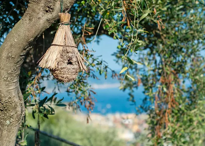 Ginela' - Casa Di Pietra Prázdninový dům
